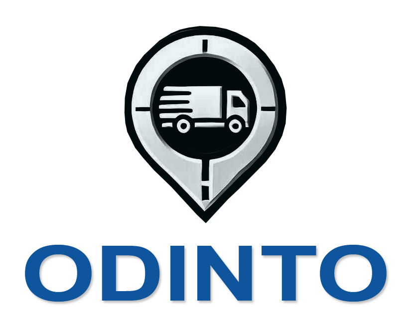 Odinto Logo