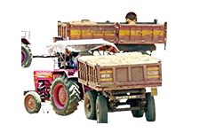 vehicle_img